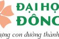 Đại học Đông Á tạo dựng con đường thành công